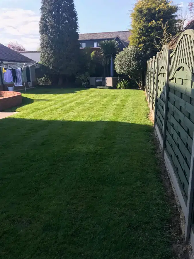 Sunlit backyard with freshly mowed lawn, green wooden fence on the right, garden seating, and clothes drying line on the left.
